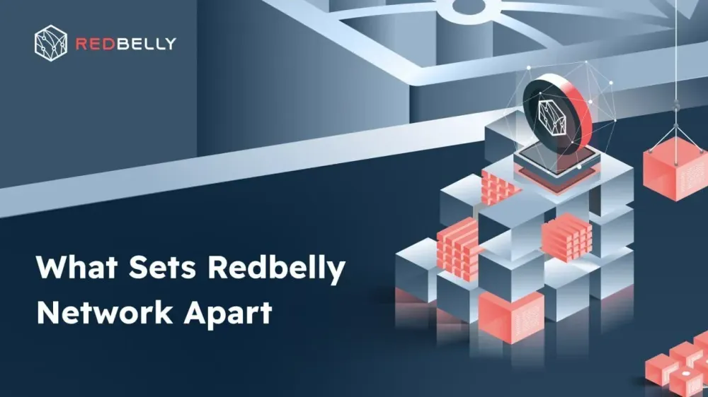 <p>What Sets Redbelly Network Apart</p>